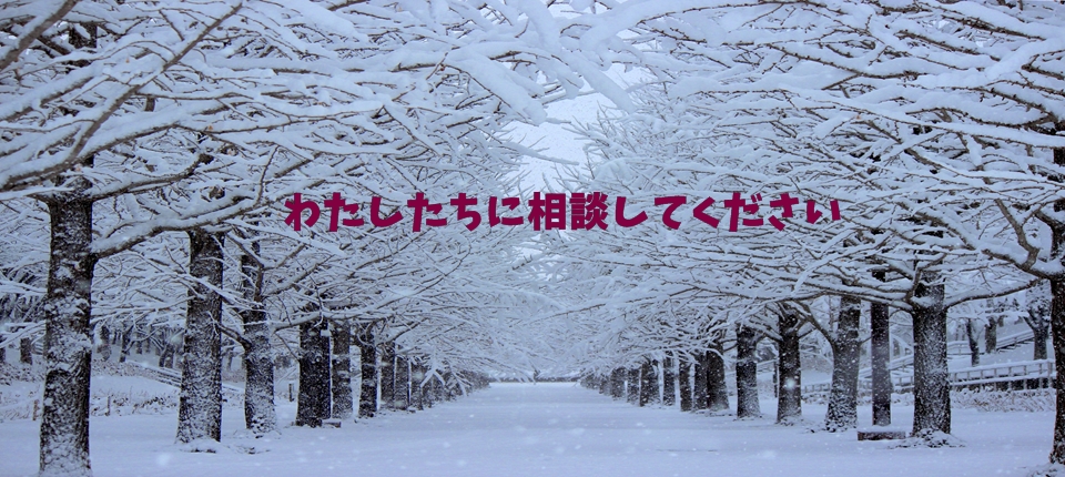 slider_w_05
